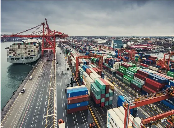 Pf 18b899d1 picture1